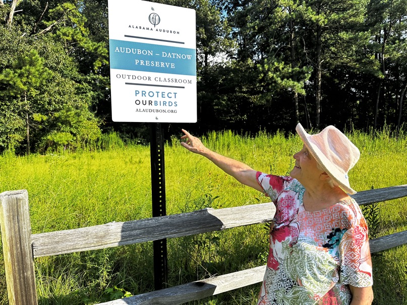 Audubon-Datnow Forest Preserve