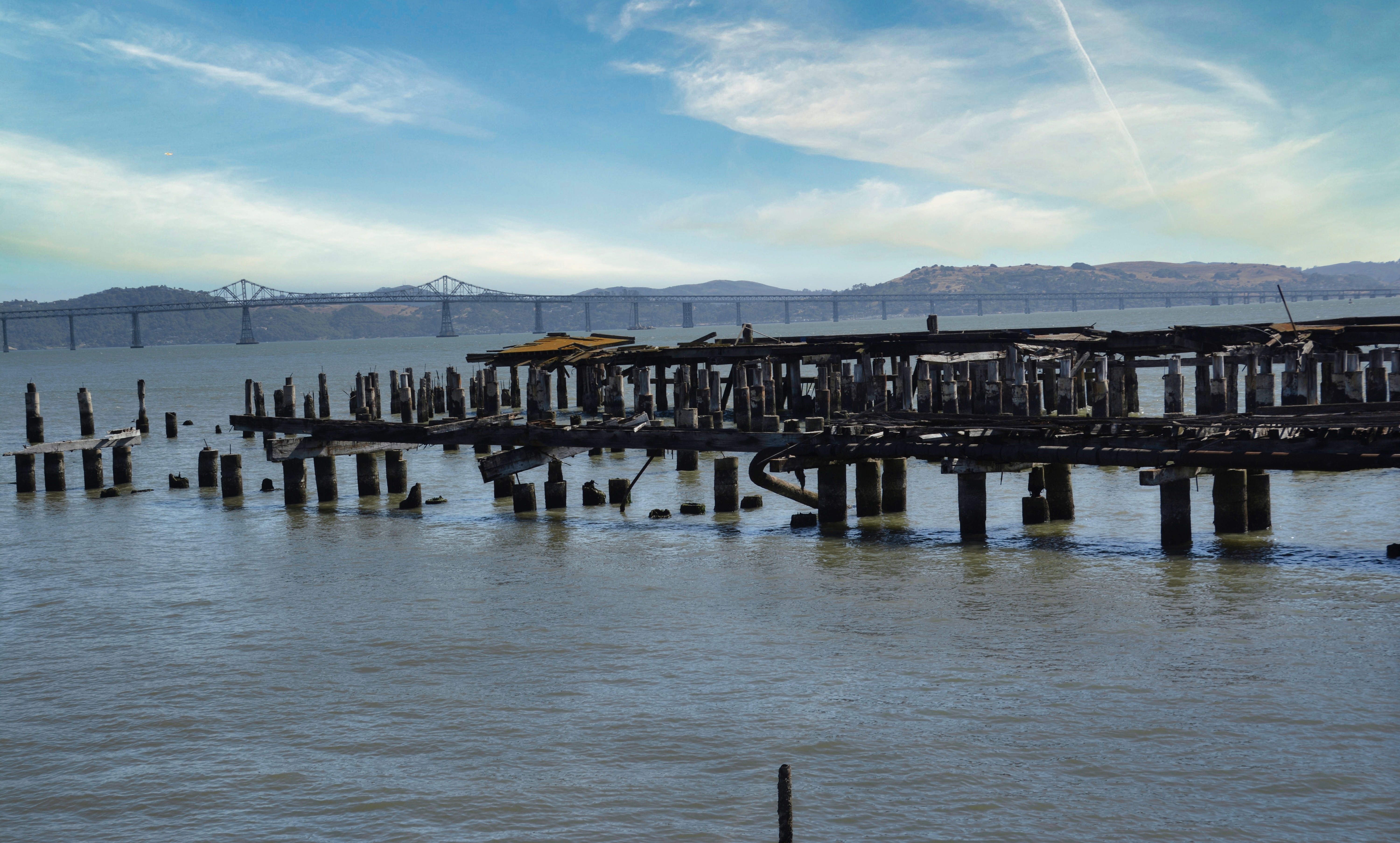 Whaling Station Ruins
