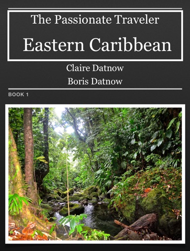 Vol 1 The Passionate Traveler