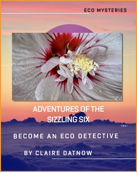 Eco Fiction Adventures of the Sizzling Six